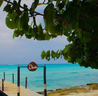 Dominicus Villa | Flamenco Studio in Cadaques Caribe