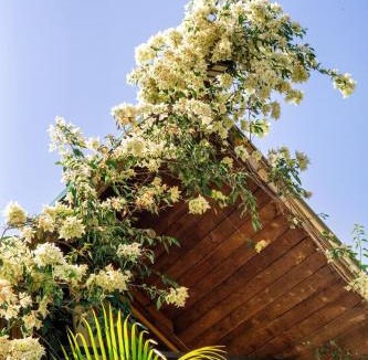 Las Galeras Villa | Dreamvilles Ecovillage Eco Villas with Jacuzzi near Beaches