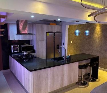 Mendoza Apartment | Modern and spacious penthouse in San Isidro
