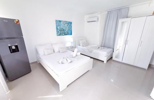 Bavaro Hotel | Caribbean PALMS TROPICANA HOTEL playa Los Corales
