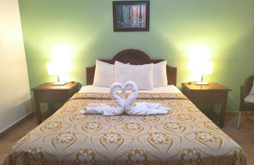 La Primavera Hotel | Hotel La Morada