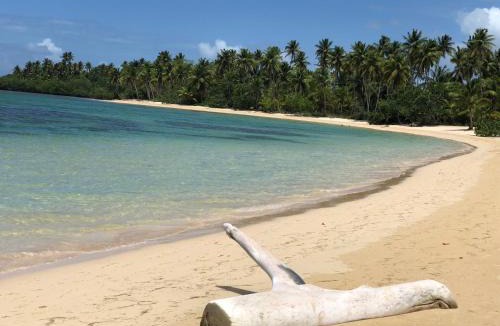 Las Terrenas Villa | Villa Mata De Mango