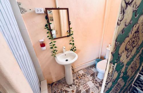 Ciudad Nueva Hotel | La española