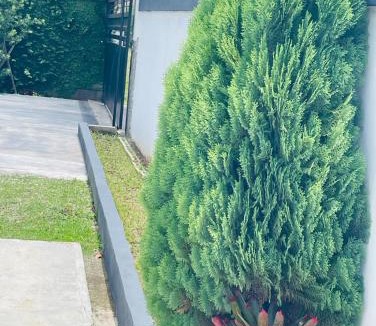 Nizao Villa | Villa renacer 1