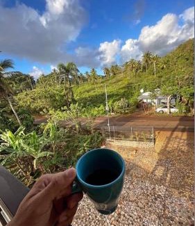 Samana Apartment | Pet Friendly Xamanai