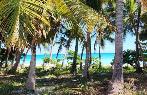 Paraiso Apartment | 2 Bdrm, 1 Bath, Wifi, Near River and Beach, 3R