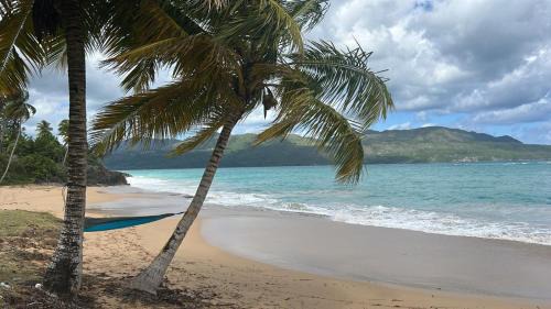 Las Galeras Cabin | Dreamvilles Ecovillage Bed and Breakfast near Playa Aserradero
