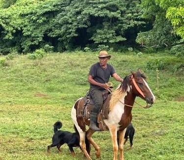 Las Galeras Cabin | Dreamvilles Ecovillage Bed and Breakfast near Playa Aserradero
