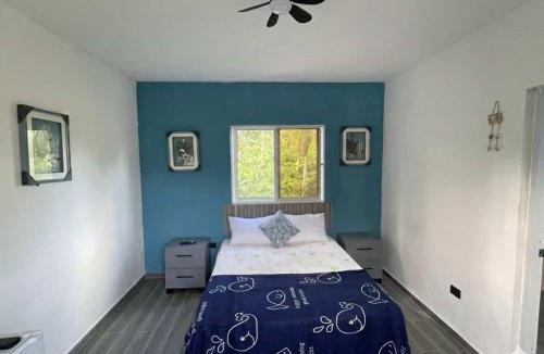 Samana Apartment | Residence Xamanai Playa Rincón II