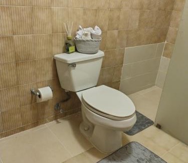 Santo Domingo Apartment | Double room with private bathroom