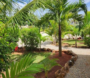 Las Galeras Apartment | Bella Villa room with kitchenette, pool and close to the beach in Las Galeras