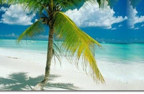 Bavaro House | Private pool villa with jacuzzi, near beaches