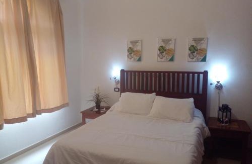 Dominicus Apartment | Apartamentos y habitaciones sol dominicus SOLO ADULTOS