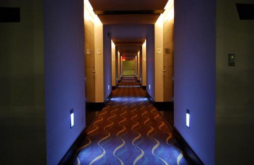 Yolanda Morales Hotel | Holiday Inn Santo Domingo by IHG