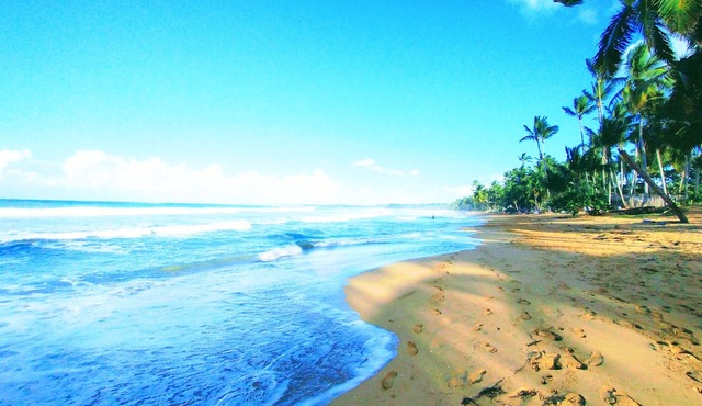 Paradise by the Sea Tropical Private Pool Villa,Los Nomadas,Playa Coson,Sleeps 6 in Playa Coson/Playa Bonita