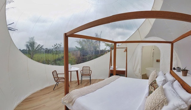Green Land Bubble Glamping