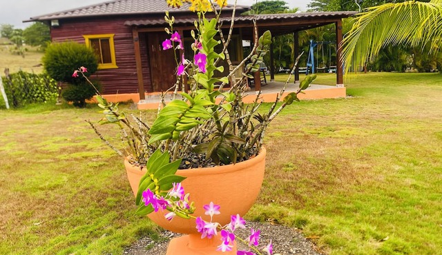 Villa Idalis | Cozy country villa with a private pool near the river in Higüey