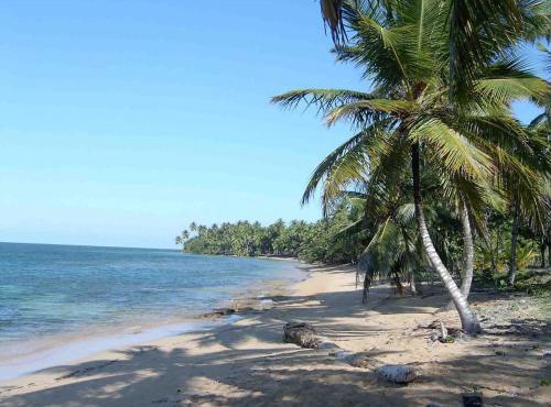 Caribbean Domicil Apartment 01 in Las Terrenas